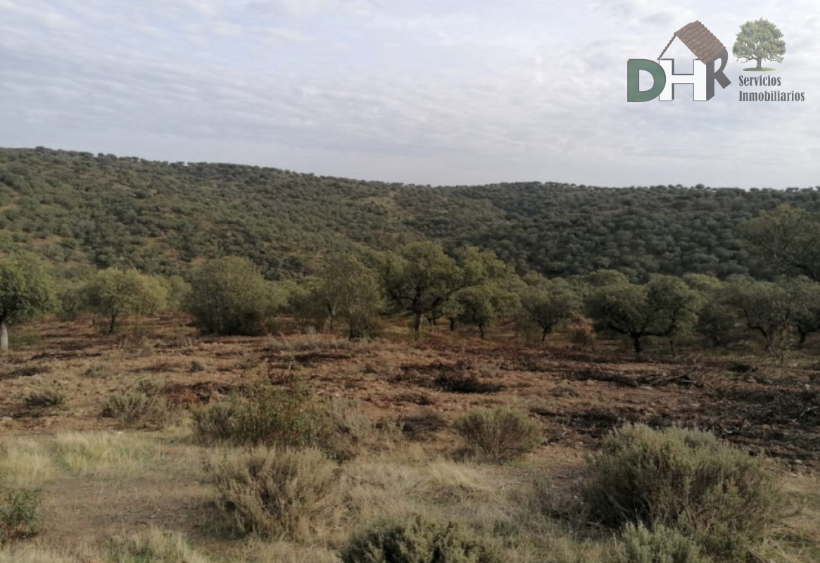 For sale of land in Cáceres