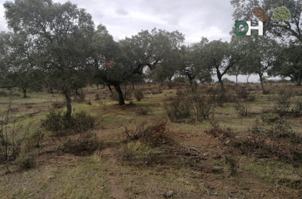 Venta de terreno en Cáceres