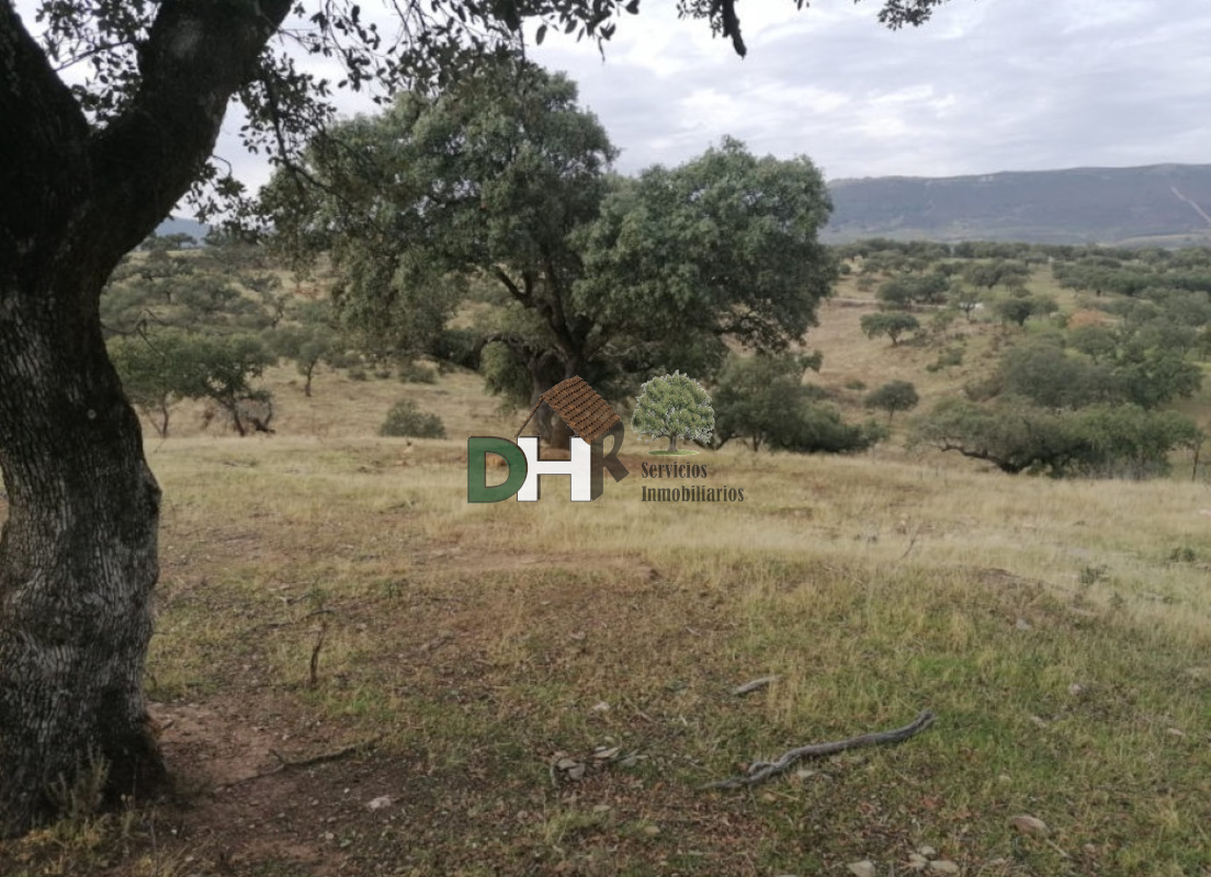 For sale of land in Cáceres