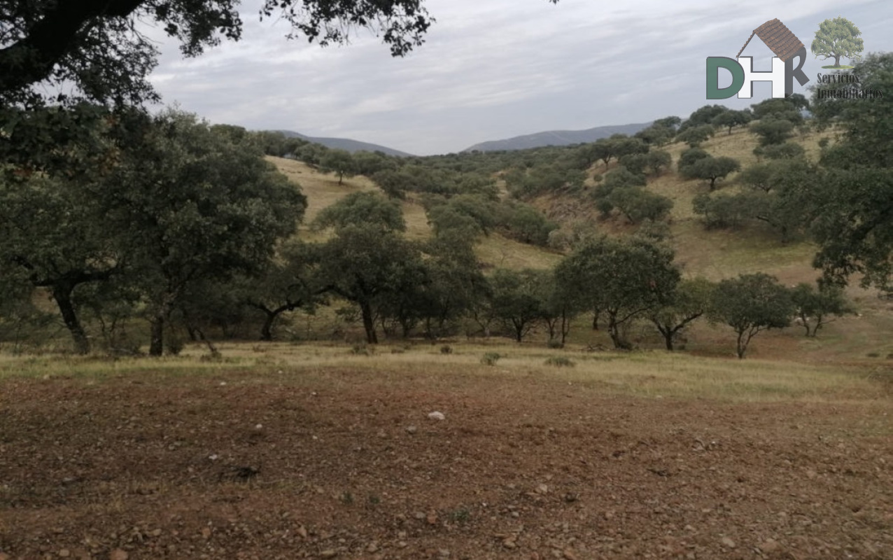 For sale of land in Cáceres