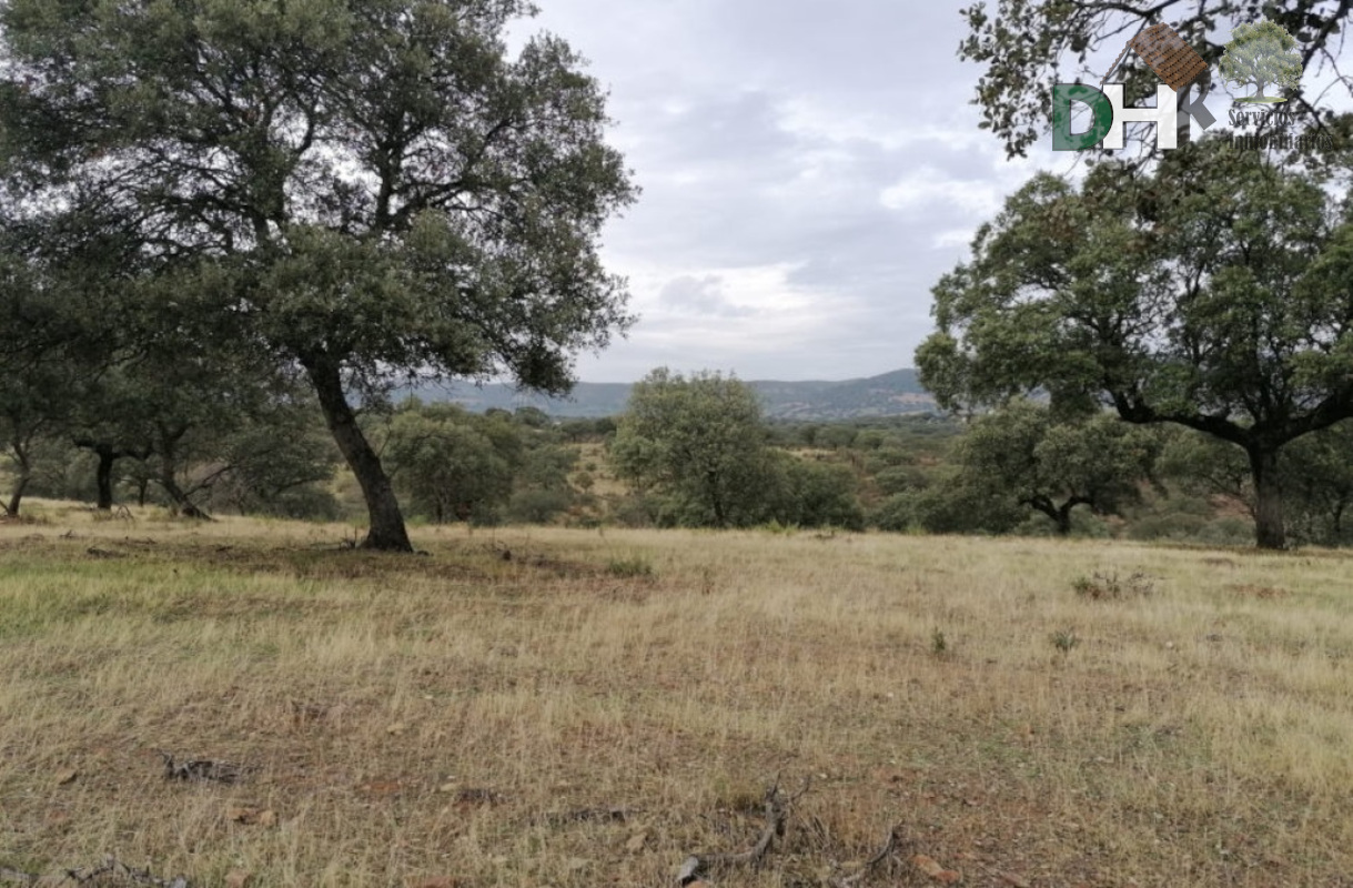 For sale of land in Cáceres