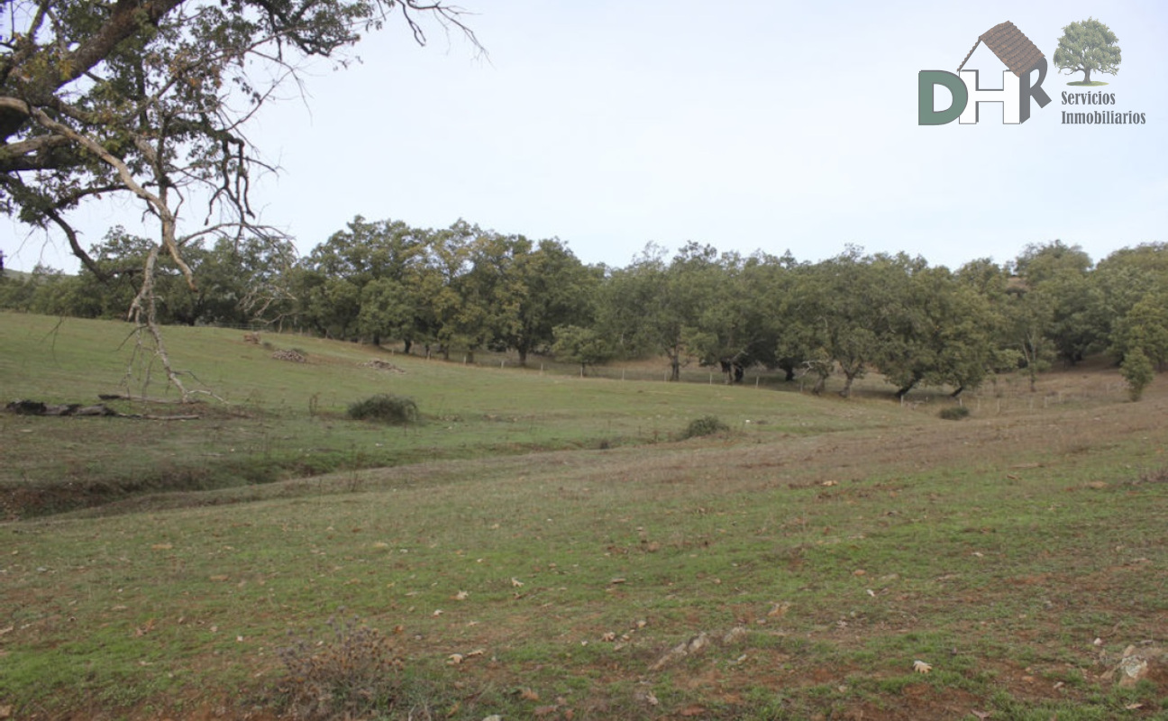 Venta de terreno en Cáceres