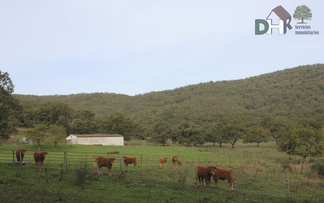 Venta de terreno en Cáceres