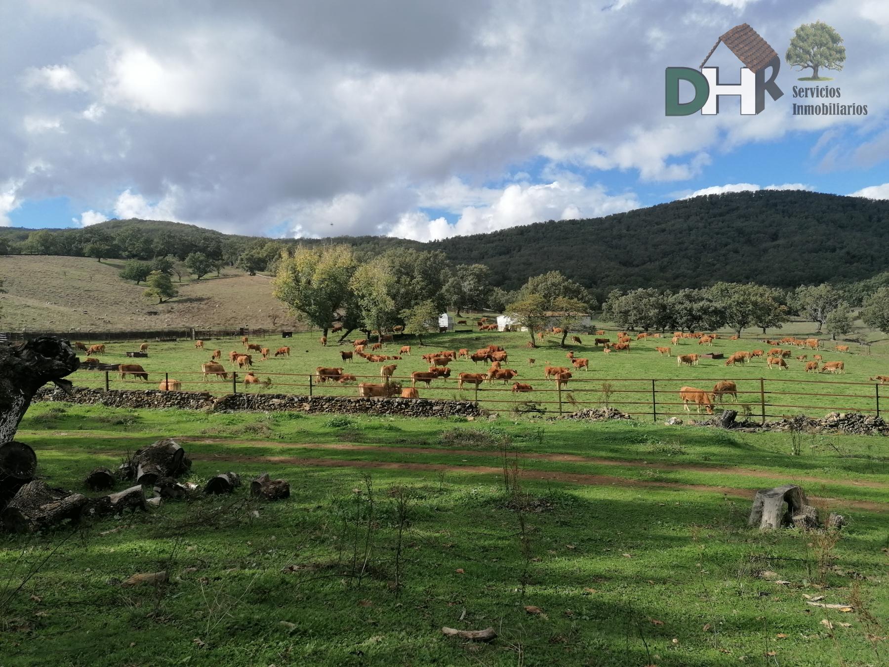 For sale of land in Cáceres