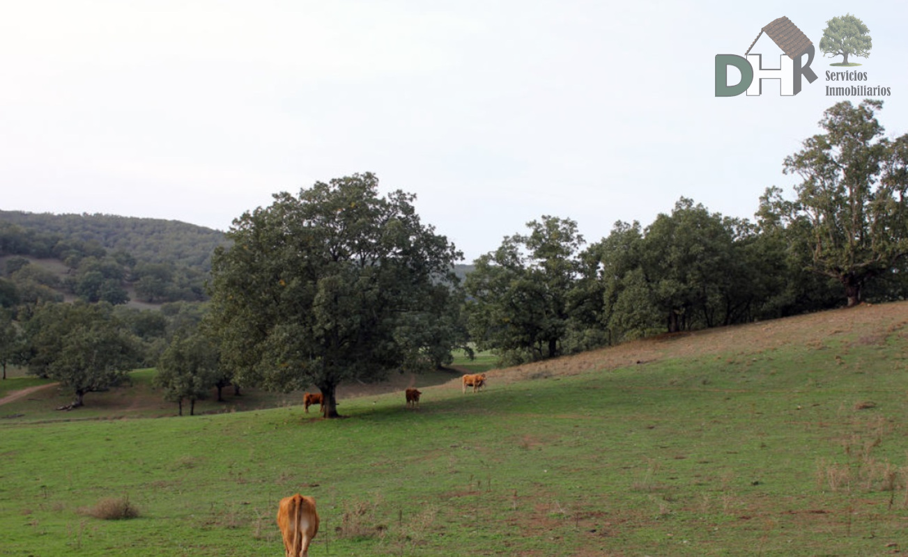 For sale of land in Cáceres