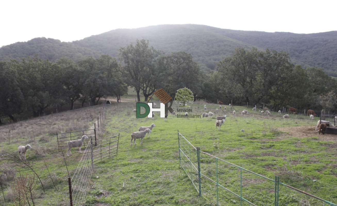 Venta de terreno en Cáceres