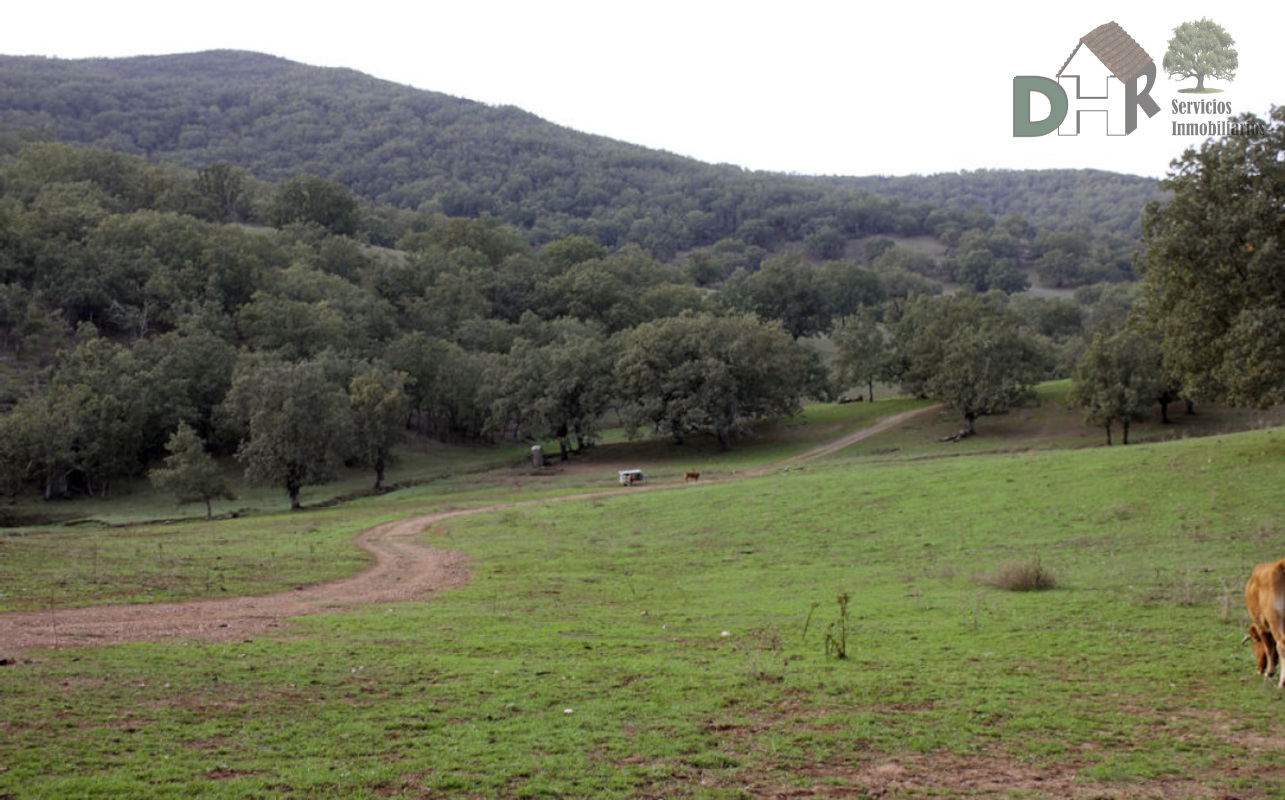 For sale of land in Cáceres