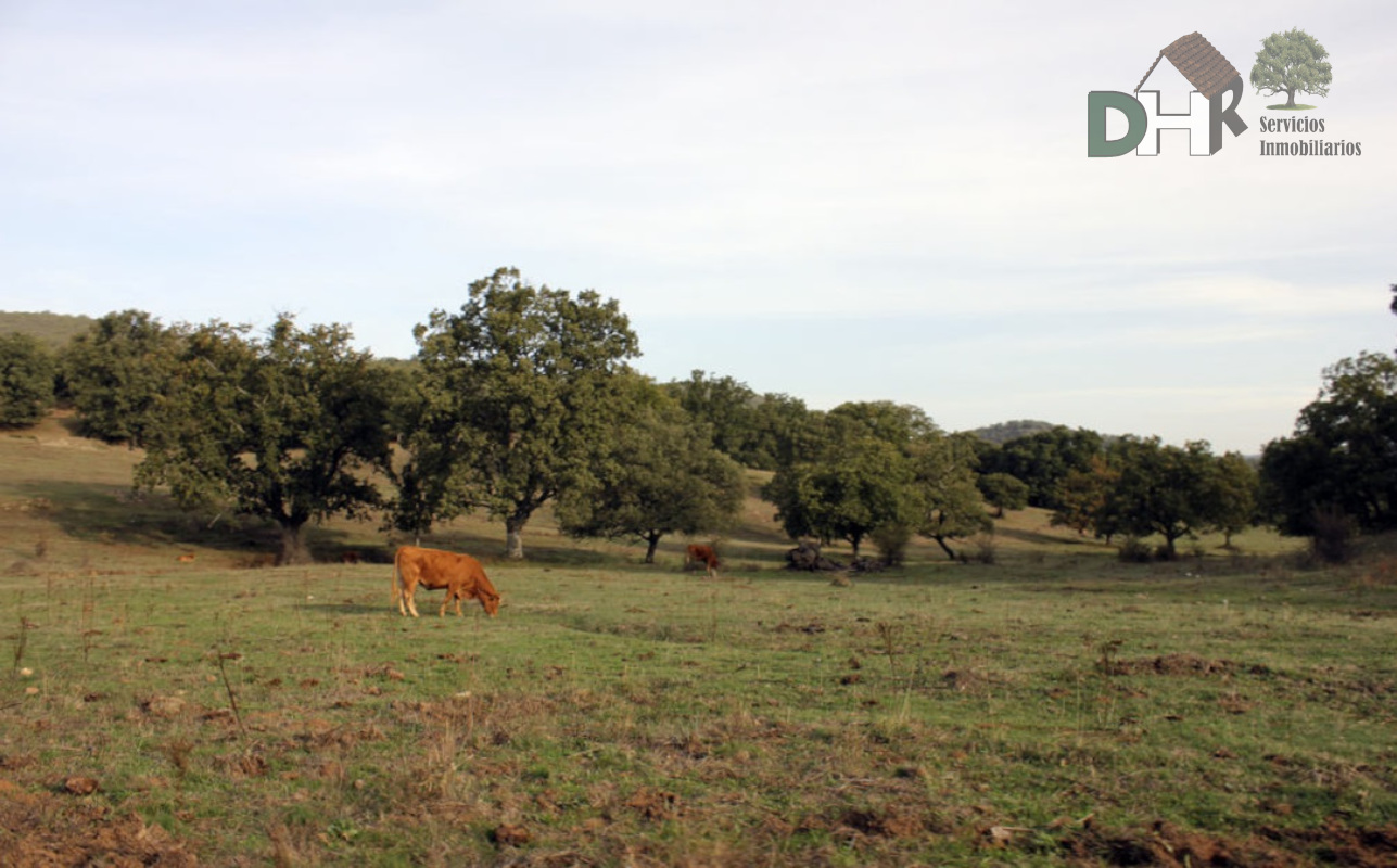 Venta de terreno en Cáceres