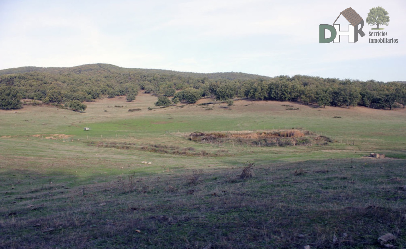 For sale of land in Cáceres