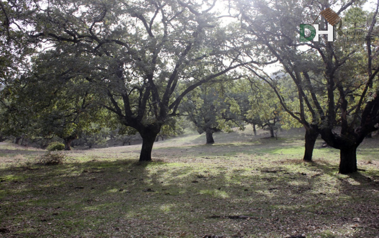 For sale of land in Cáceres