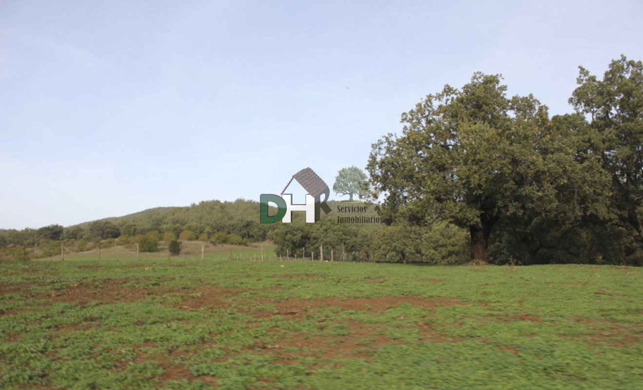 For sale of land in Cáceres