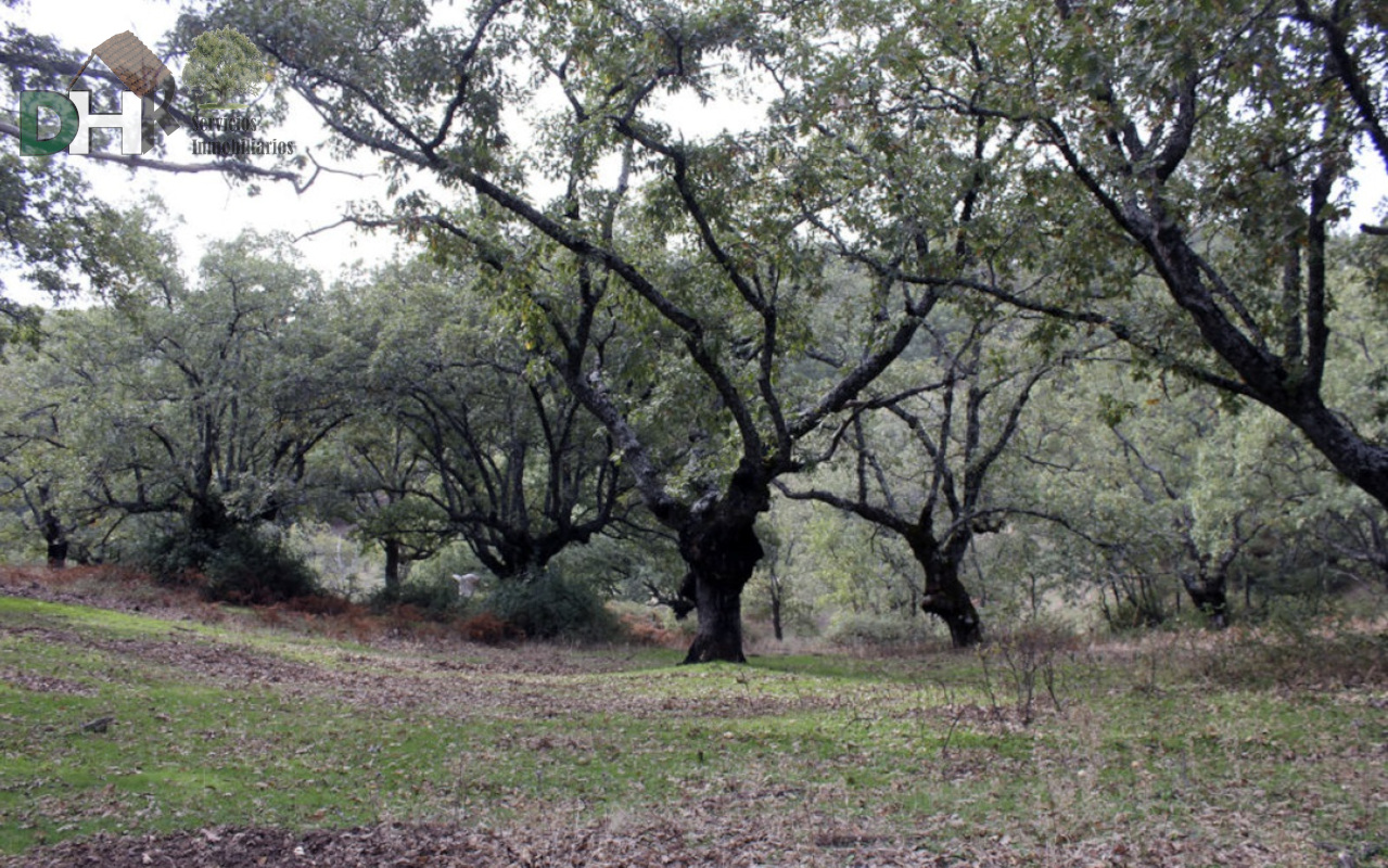 Venta de terreno en Cáceres