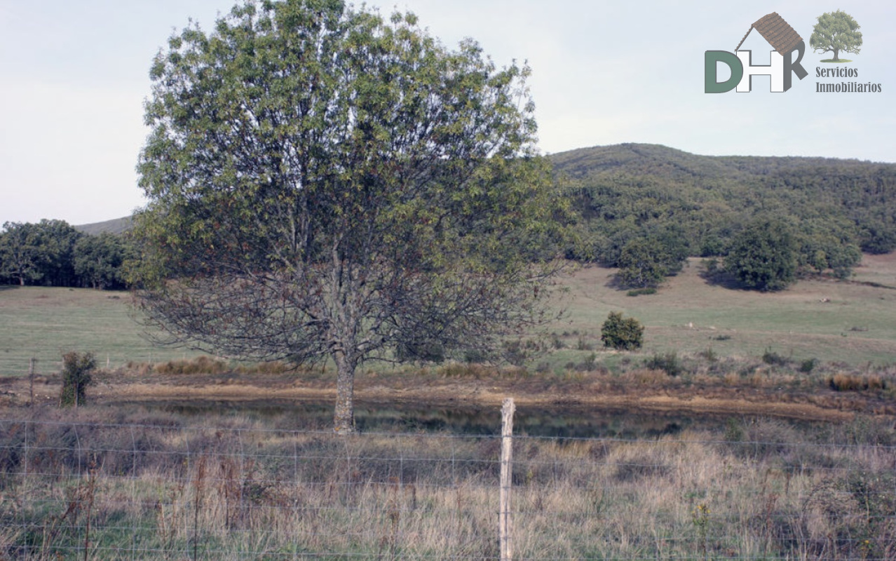 Venta de terreno en Cáceres