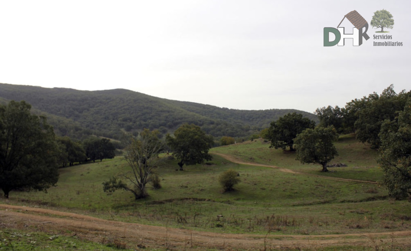 For sale of land in Cáceres