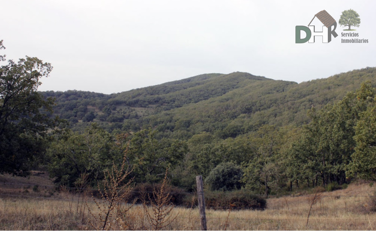 For sale of land in Cáceres