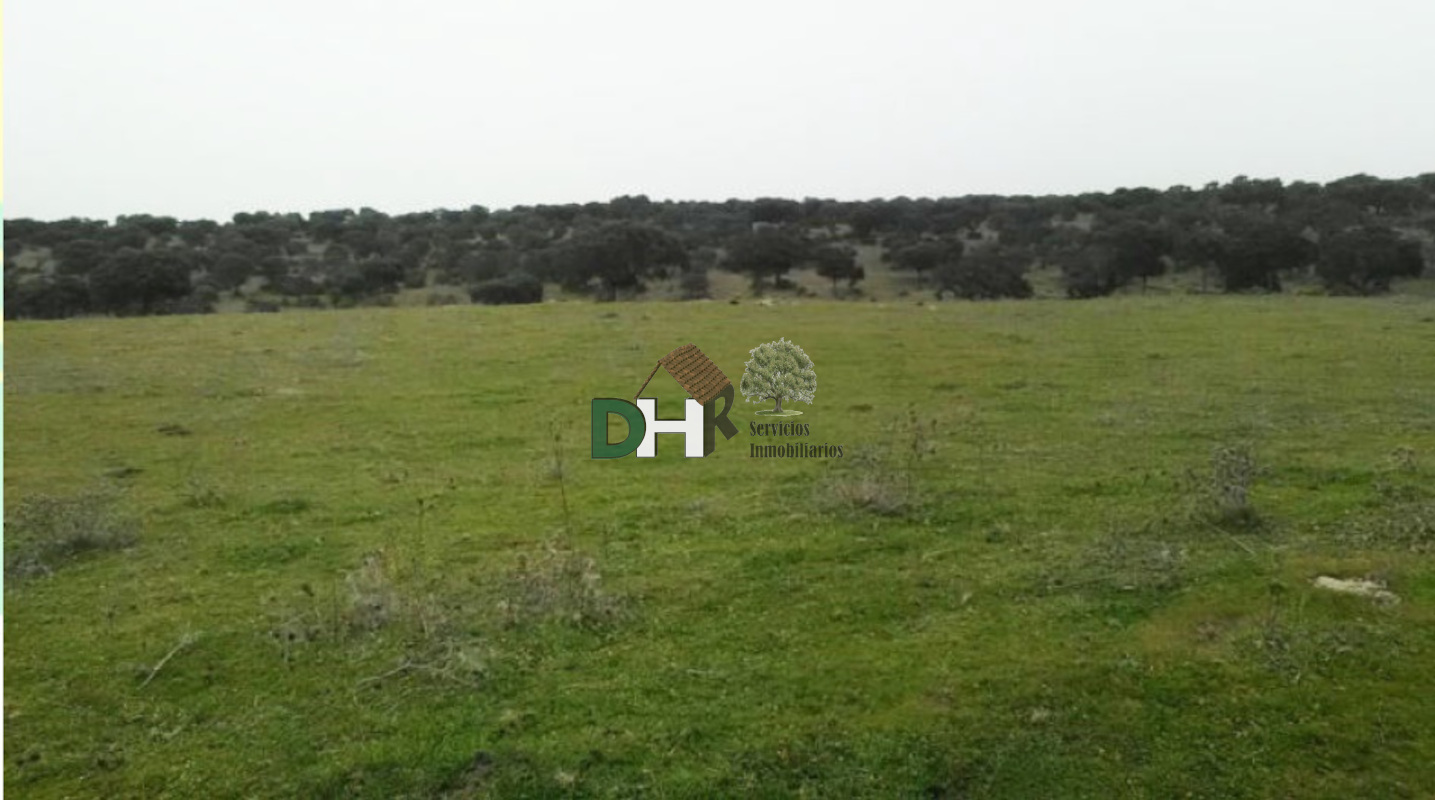 For sale of land in Cáceres