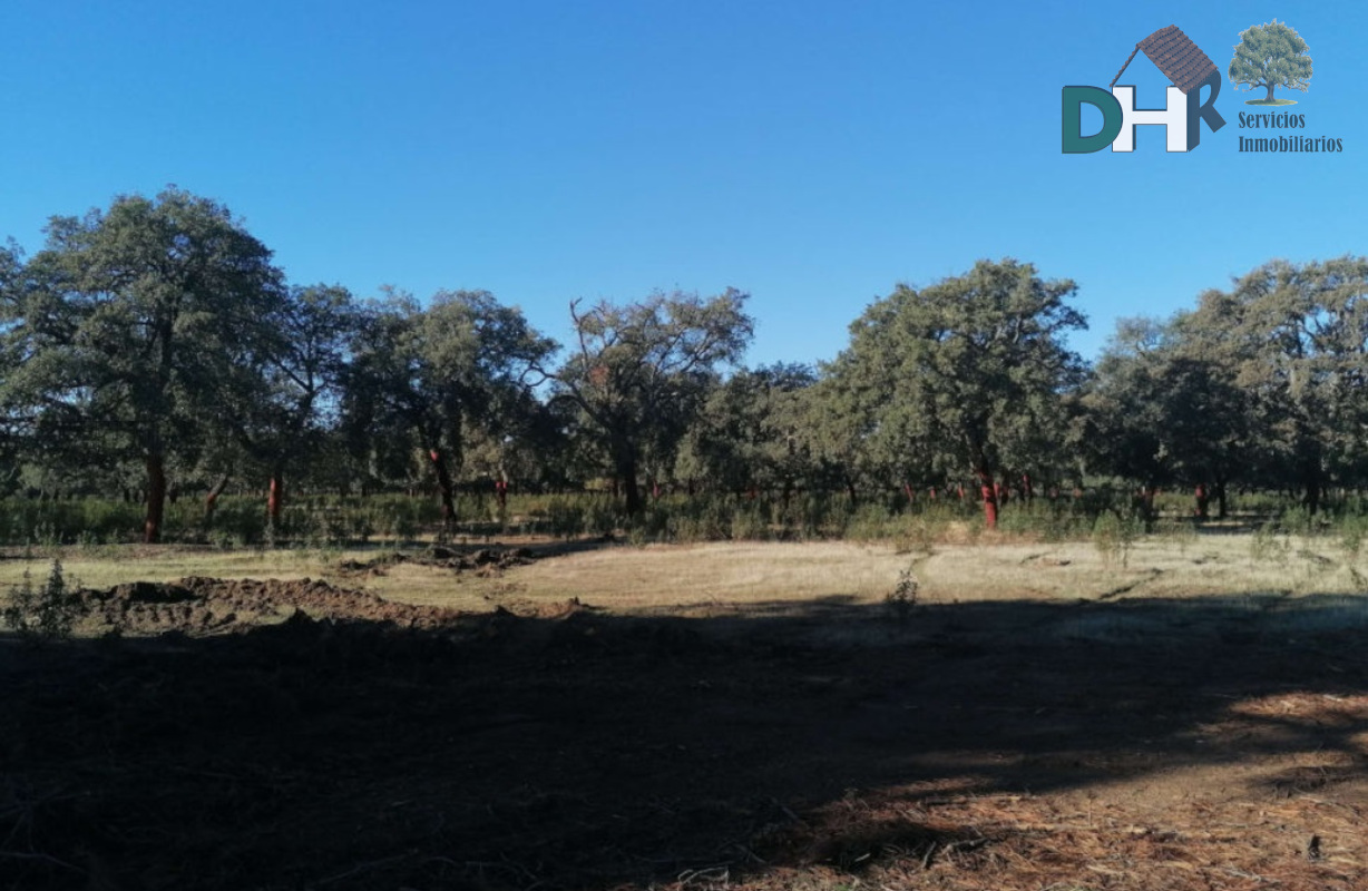 Venta de terreno en Cáceres