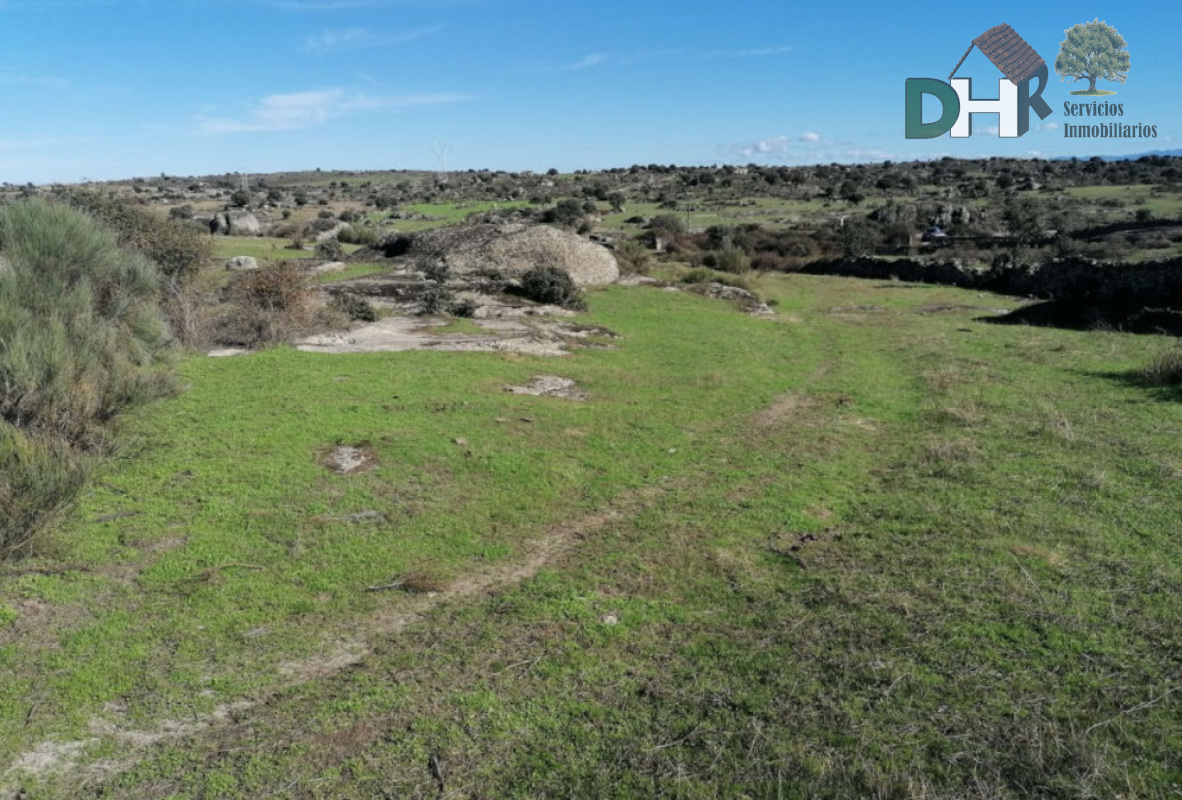 For sale of land in Cáceres