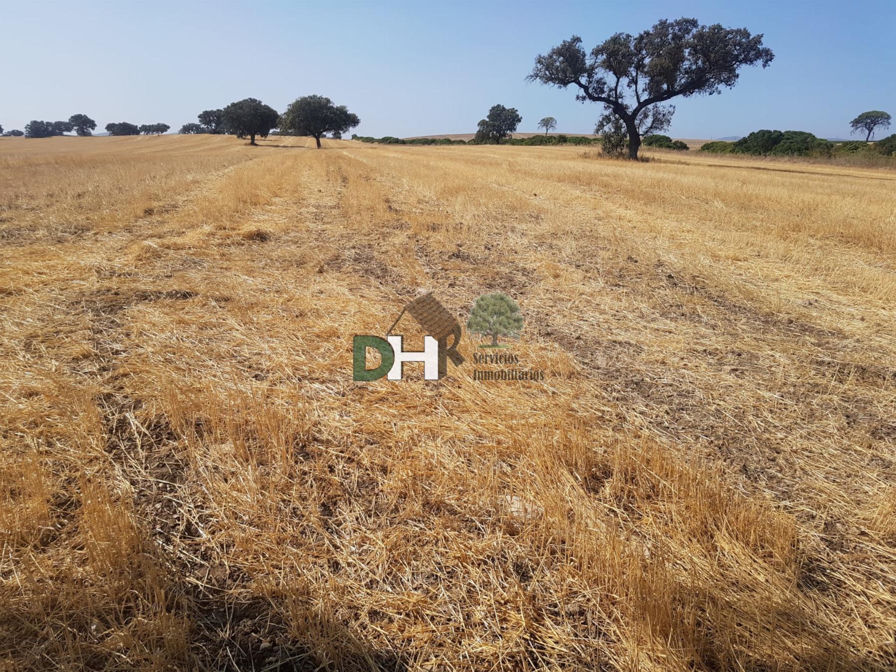 Venta de terreno en Badajoz