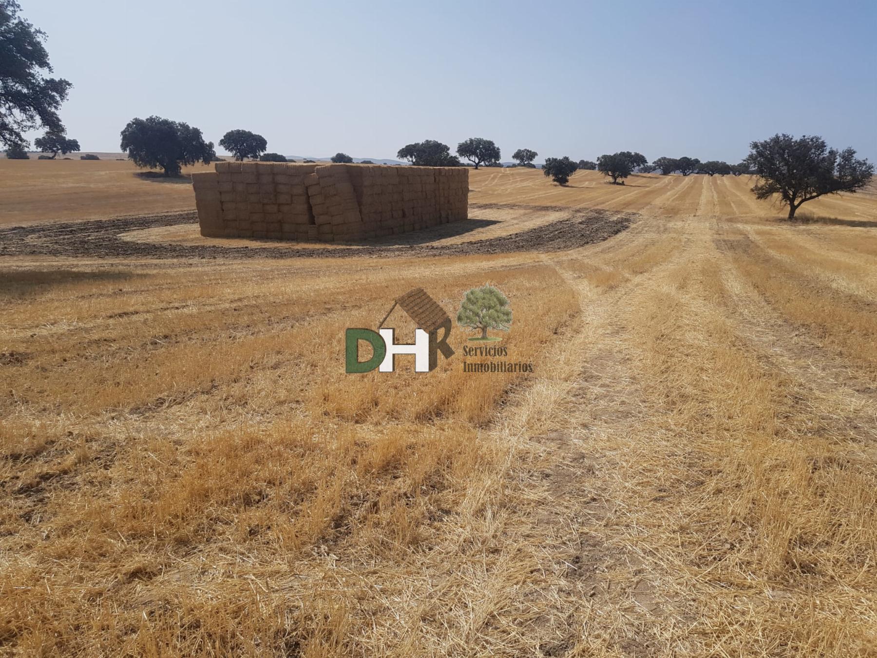 For sale of land in Badajoz