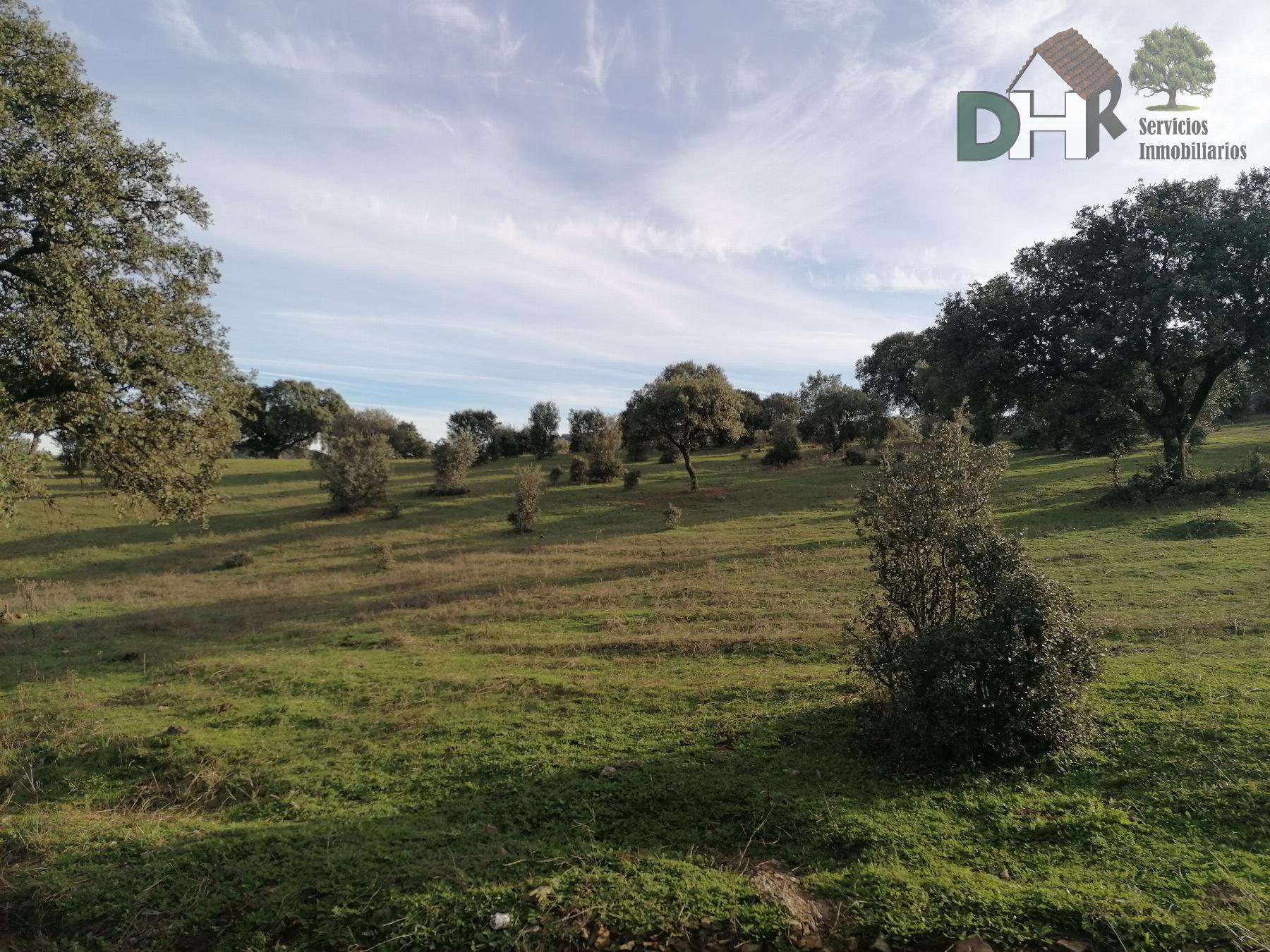 For sale of land in Cáceres