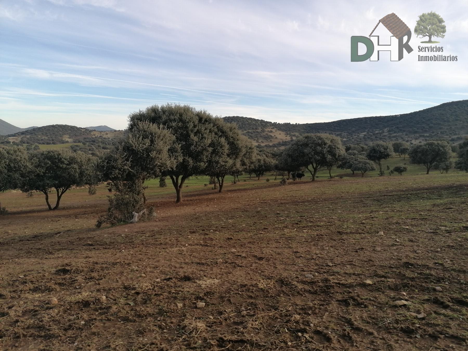For sale of land in Cáceres