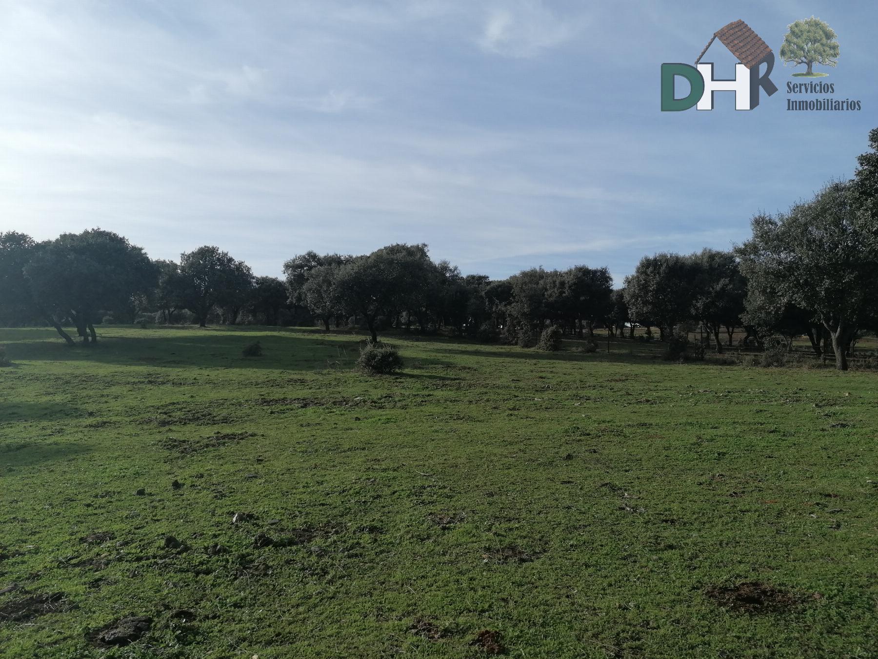 Venta de terreno en Cáceres