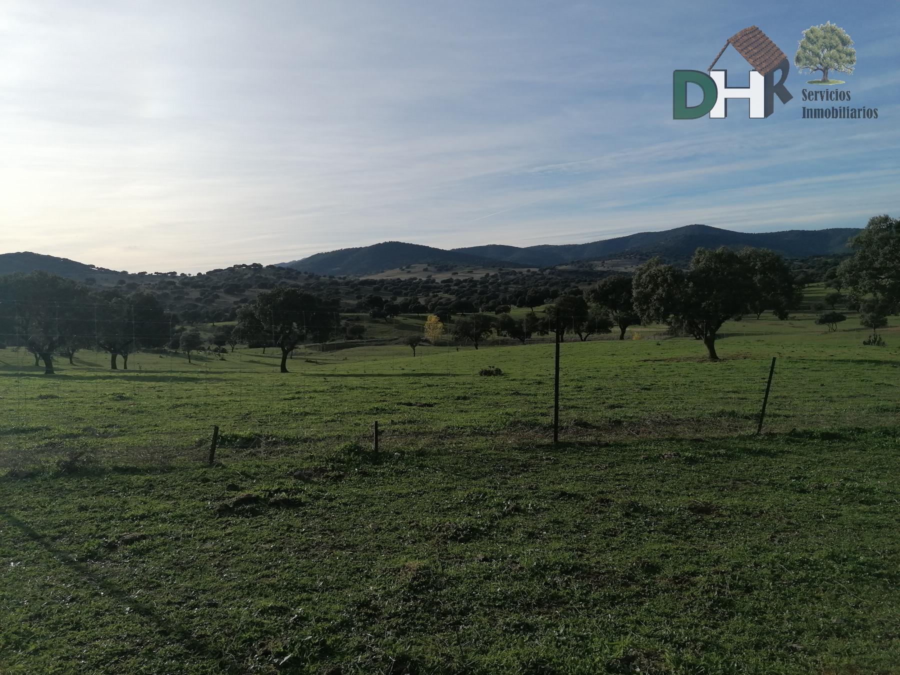 For sale of land in Cáceres