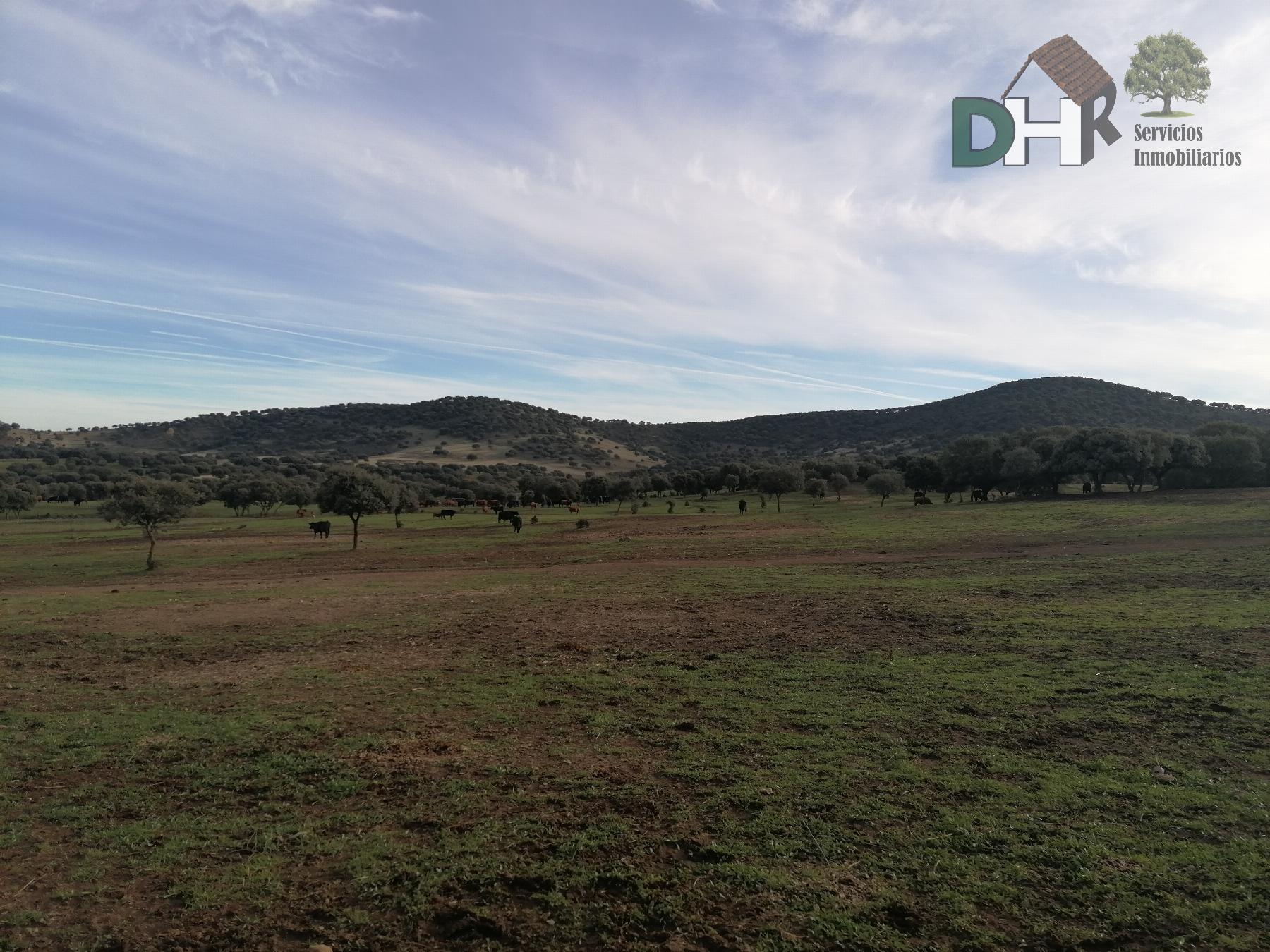 Venta de terreno en Cáceres