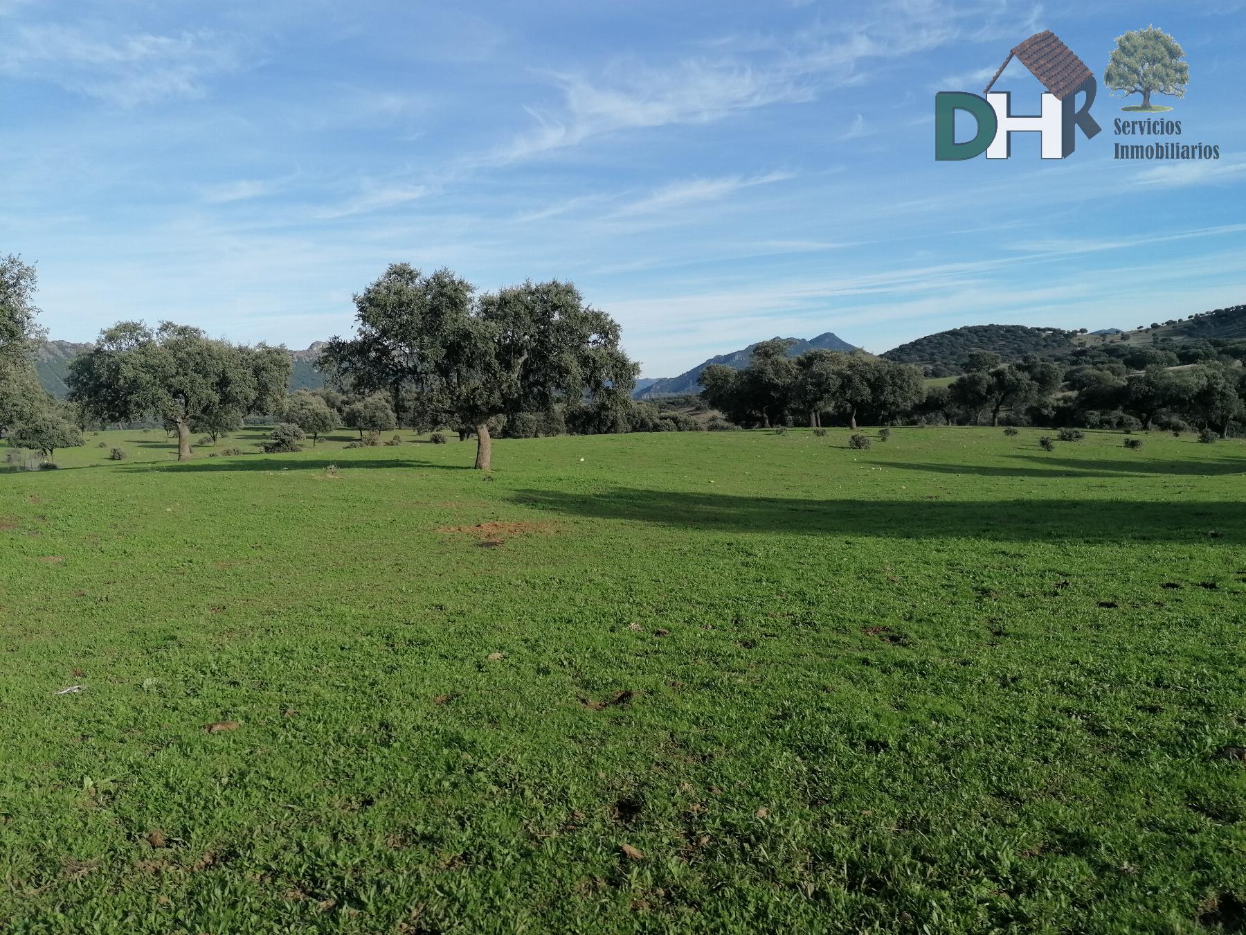 For sale of land in Cáceres