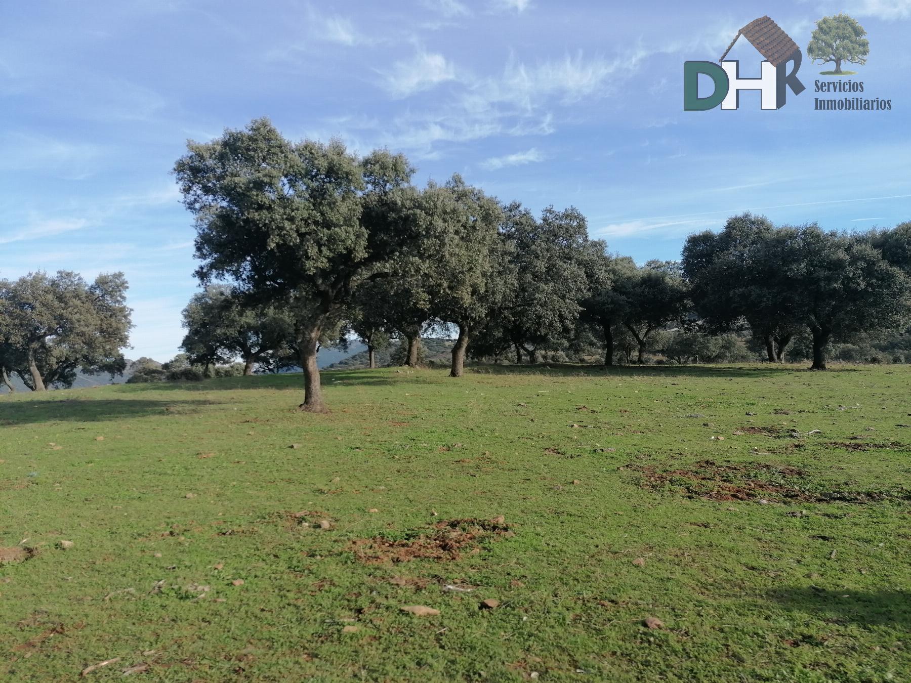 For sale of land in Cáceres