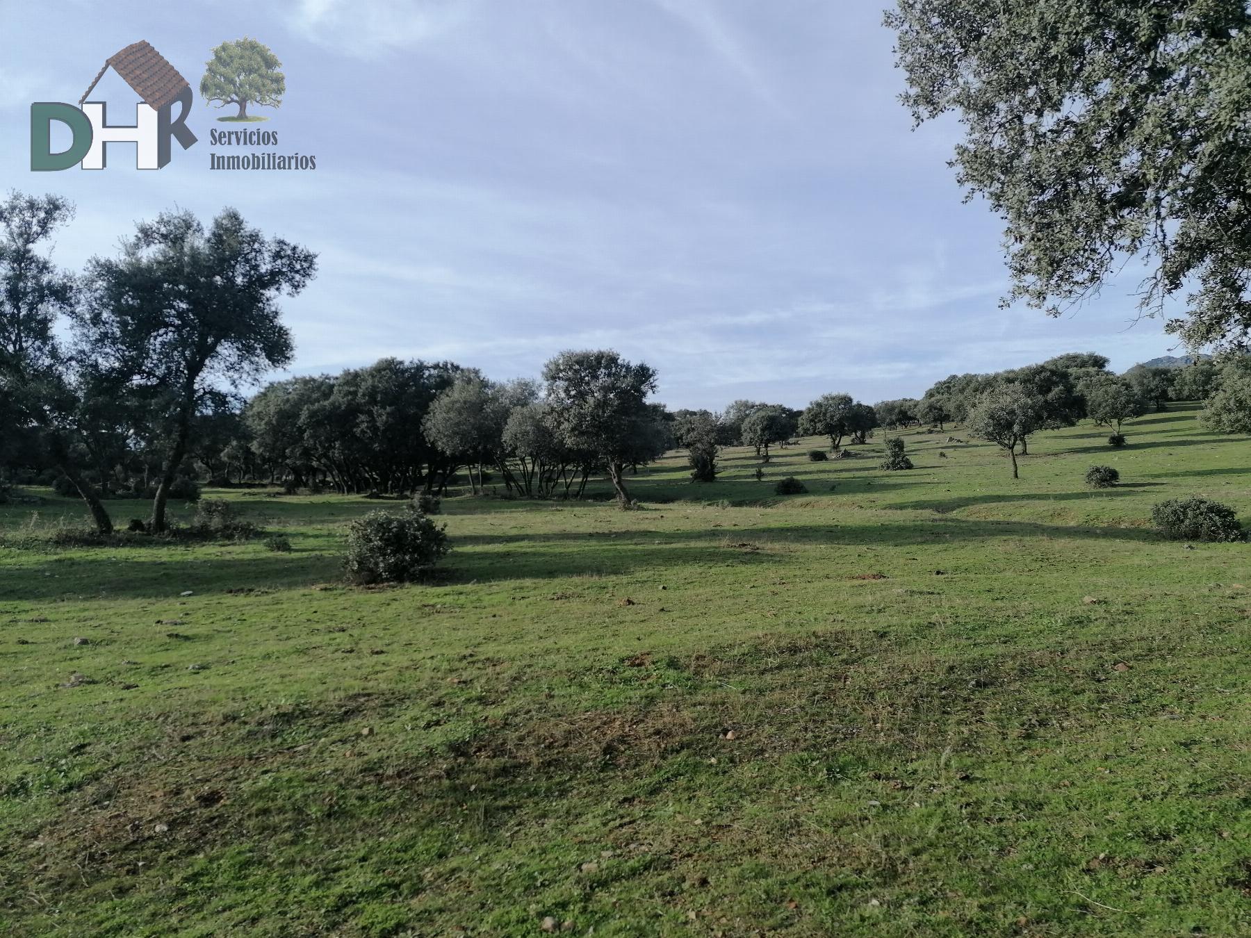 Venta de terreno en Cáceres