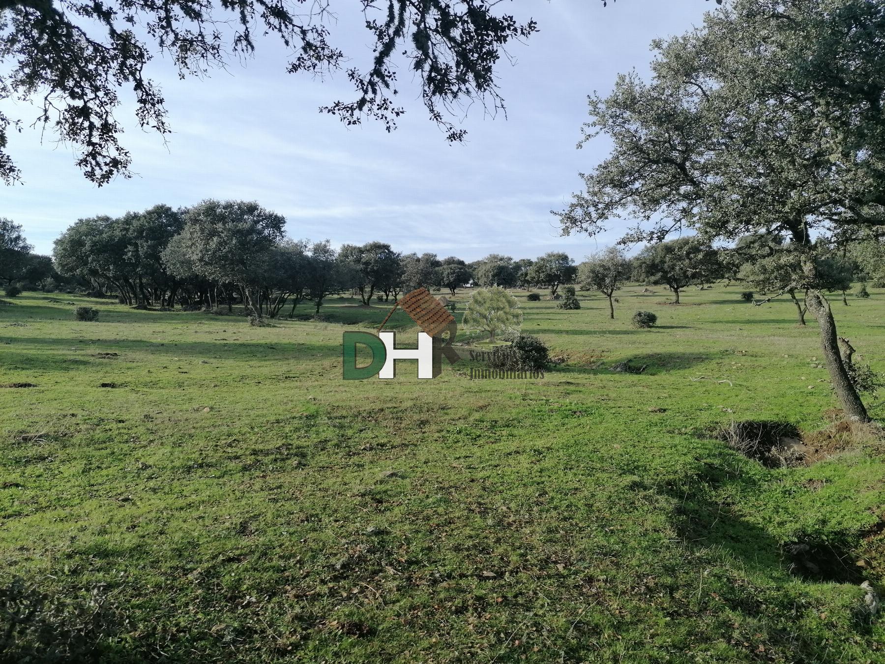 Venta de terreno en Cáceres