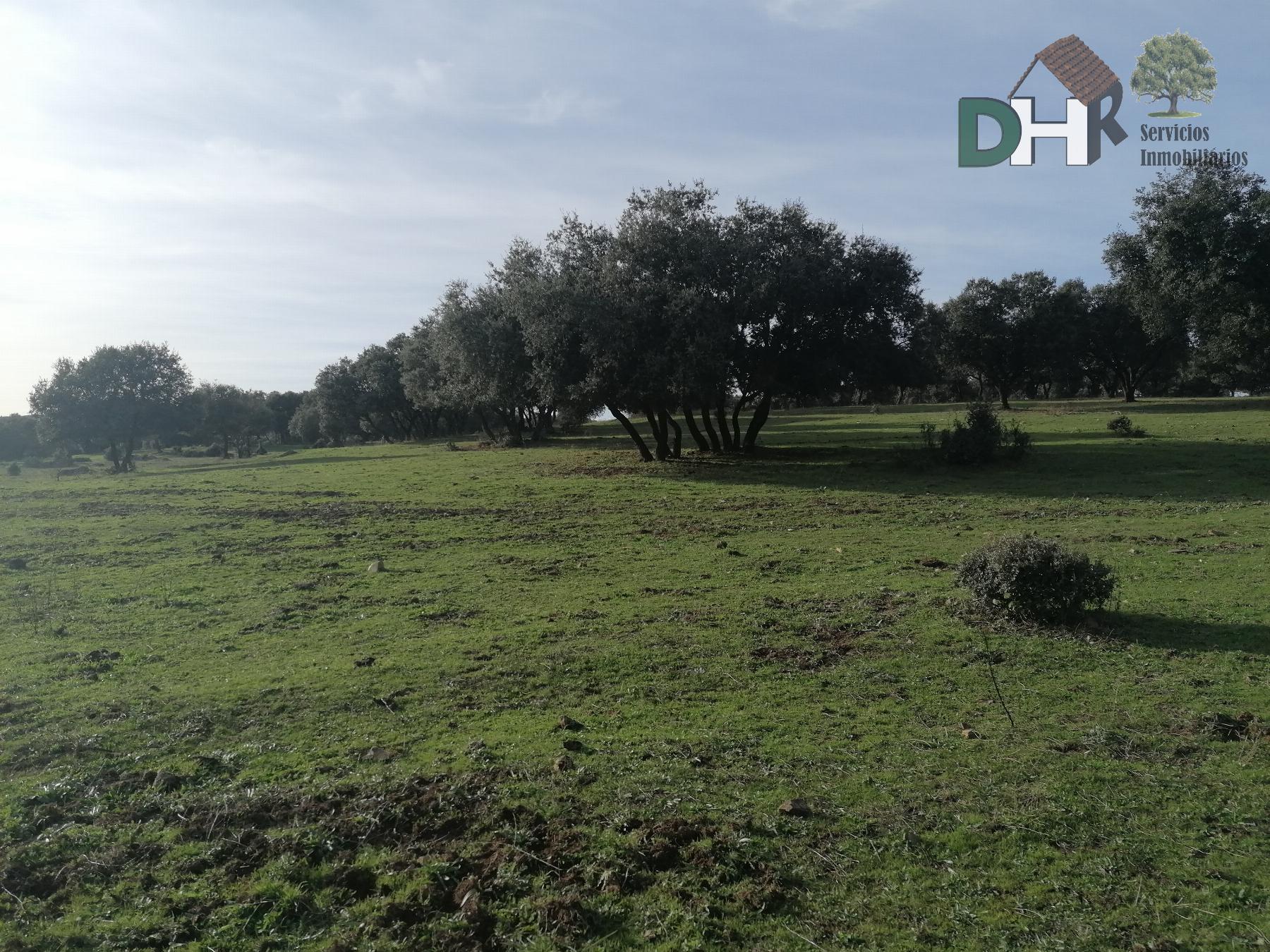 For sale of land in Cáceres