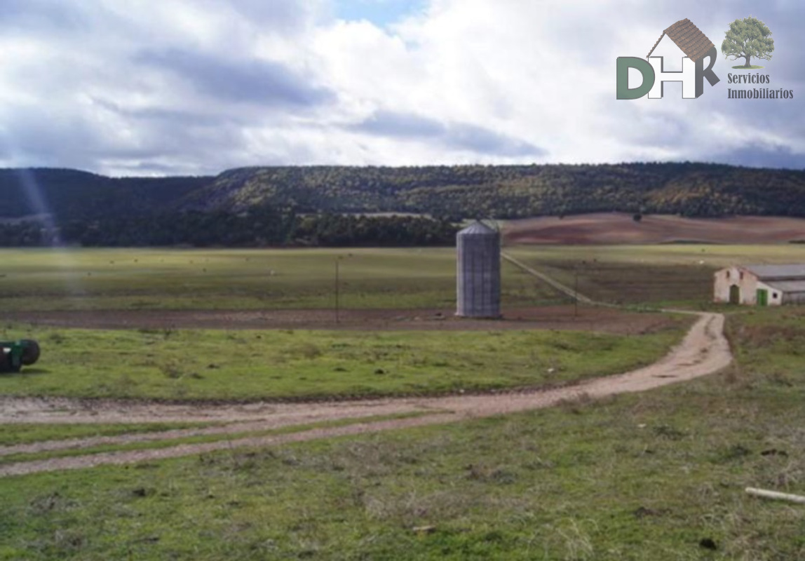 For sale of land in Guadalajara