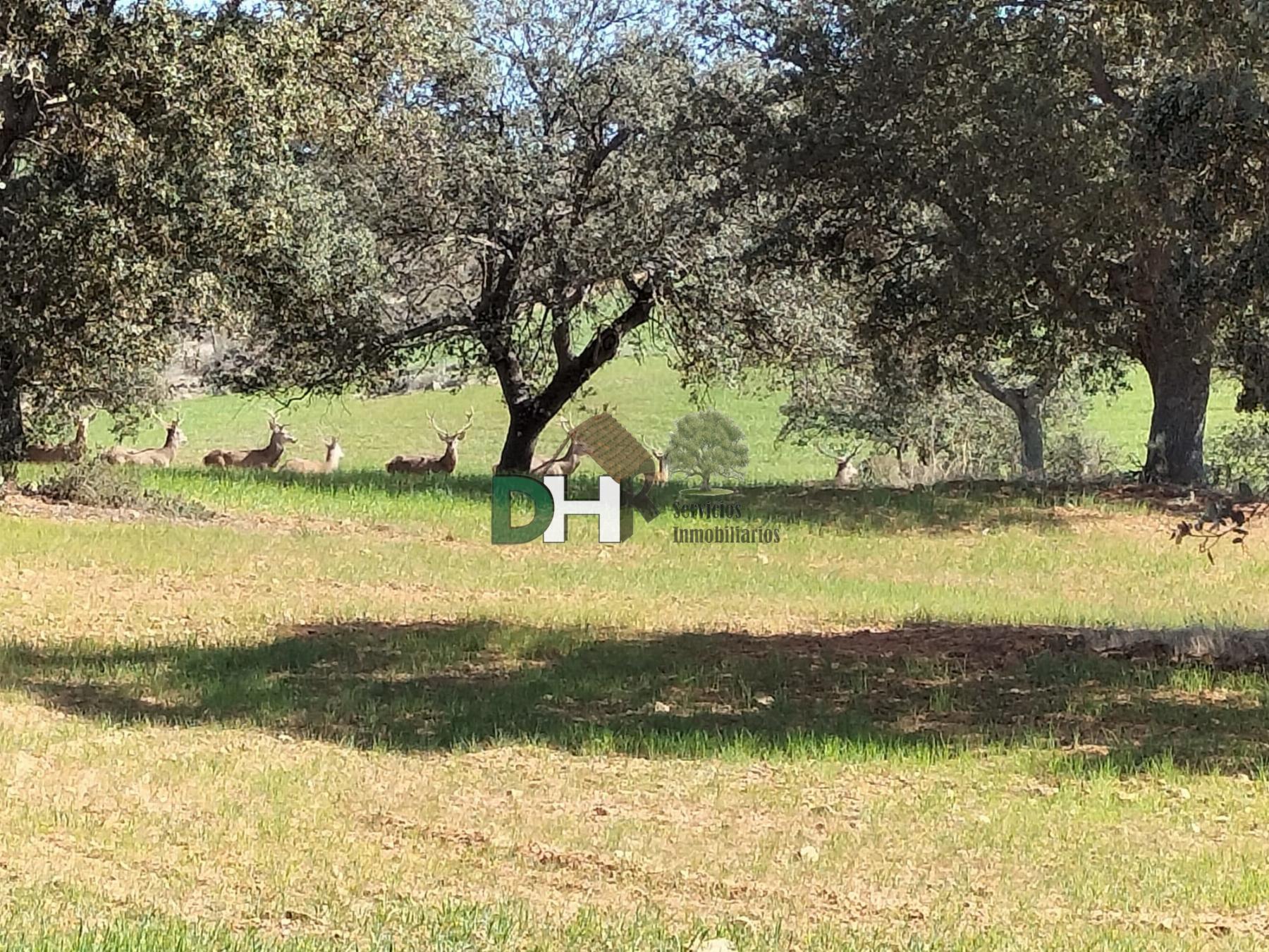 Venta de terreno en Badajoz