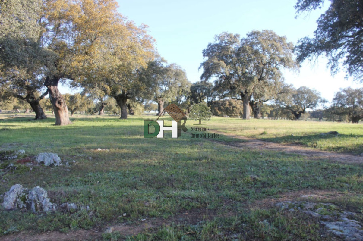 For sale of land in Cáceres