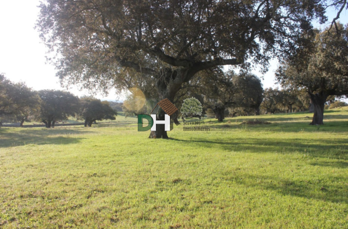 Venta de terreno en Cáceres