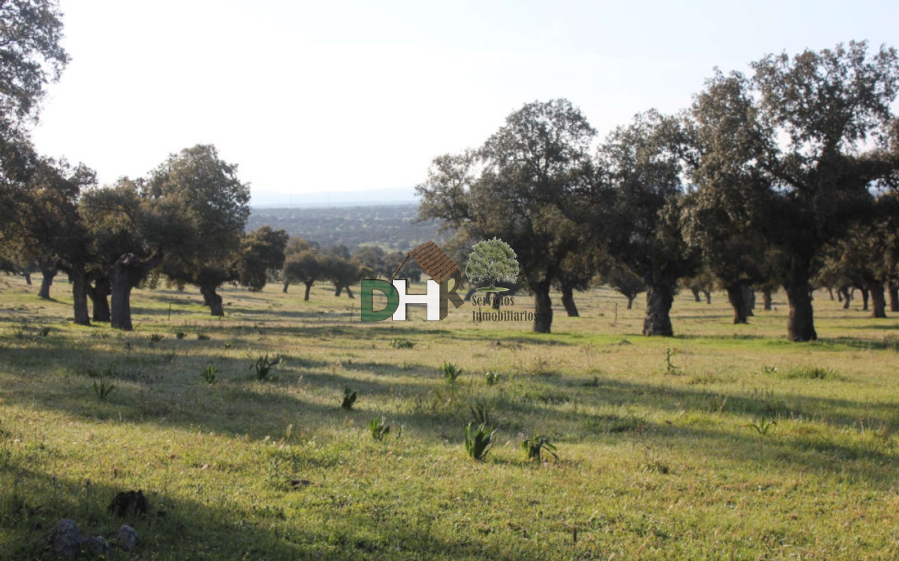 For sale of land in Cáceres