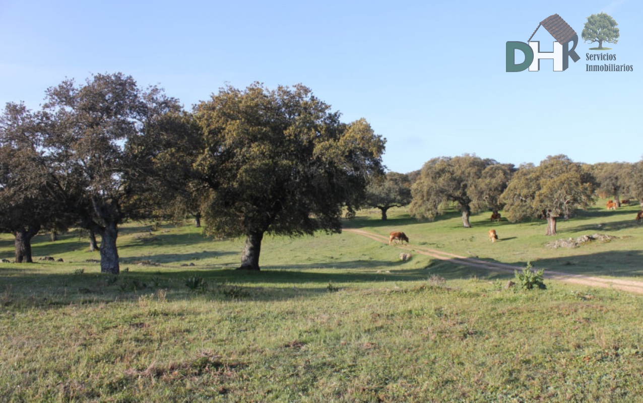 Venta de terreno en Cáceres