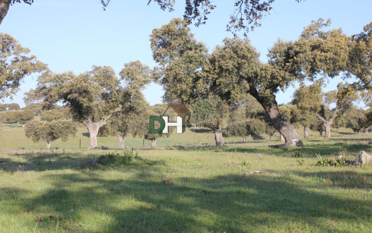 Venta de terreno en Cáceres