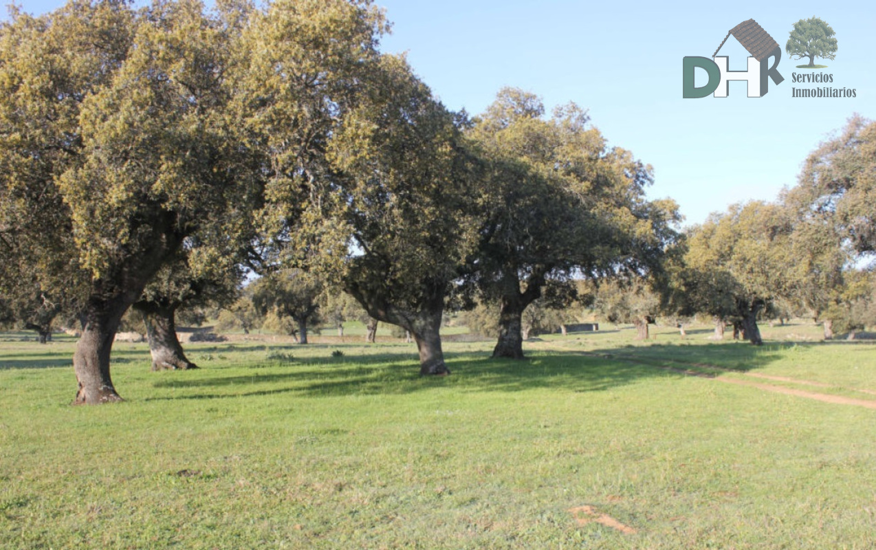 For sale of land in Cáceres