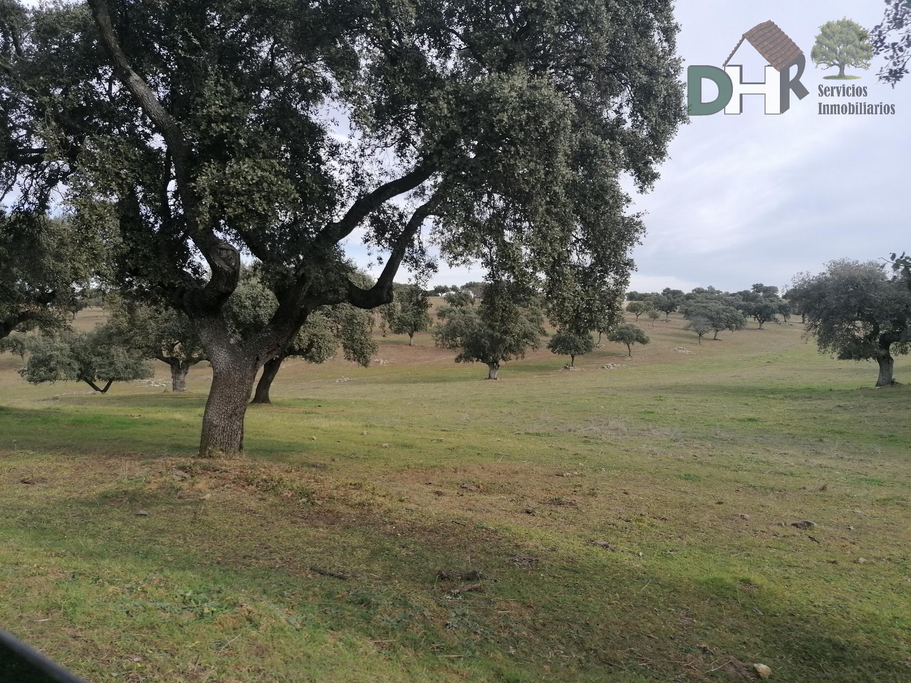 Venta de terreno en Cáceres