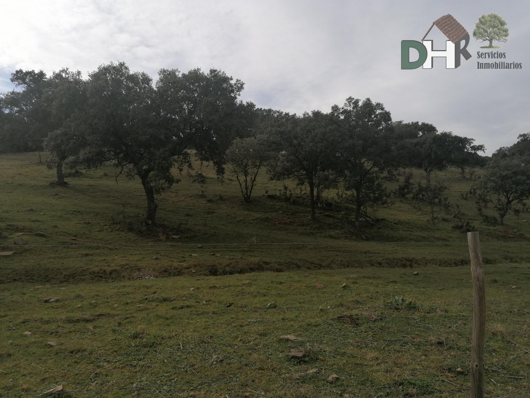 Venta de terreno en Cáceres