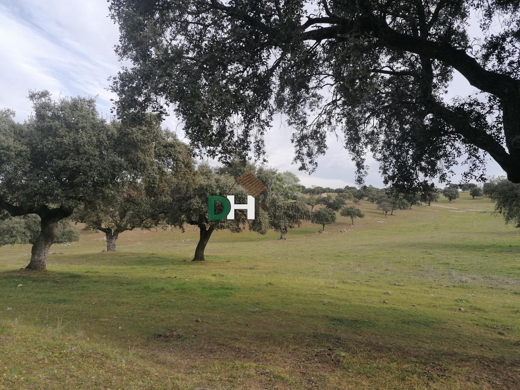 Venta de terreno en Cáceres