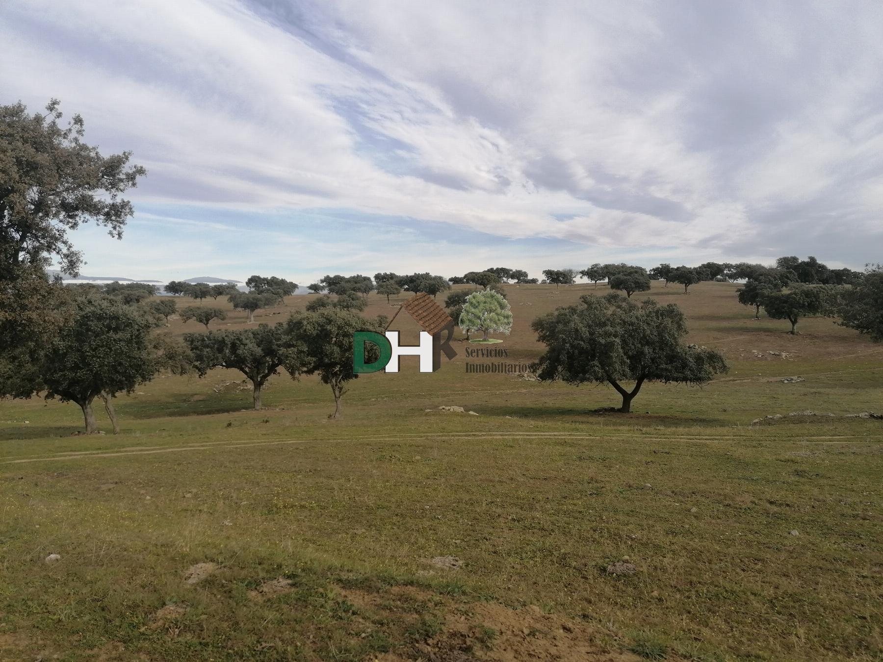 Venta de terreno en Cáceres