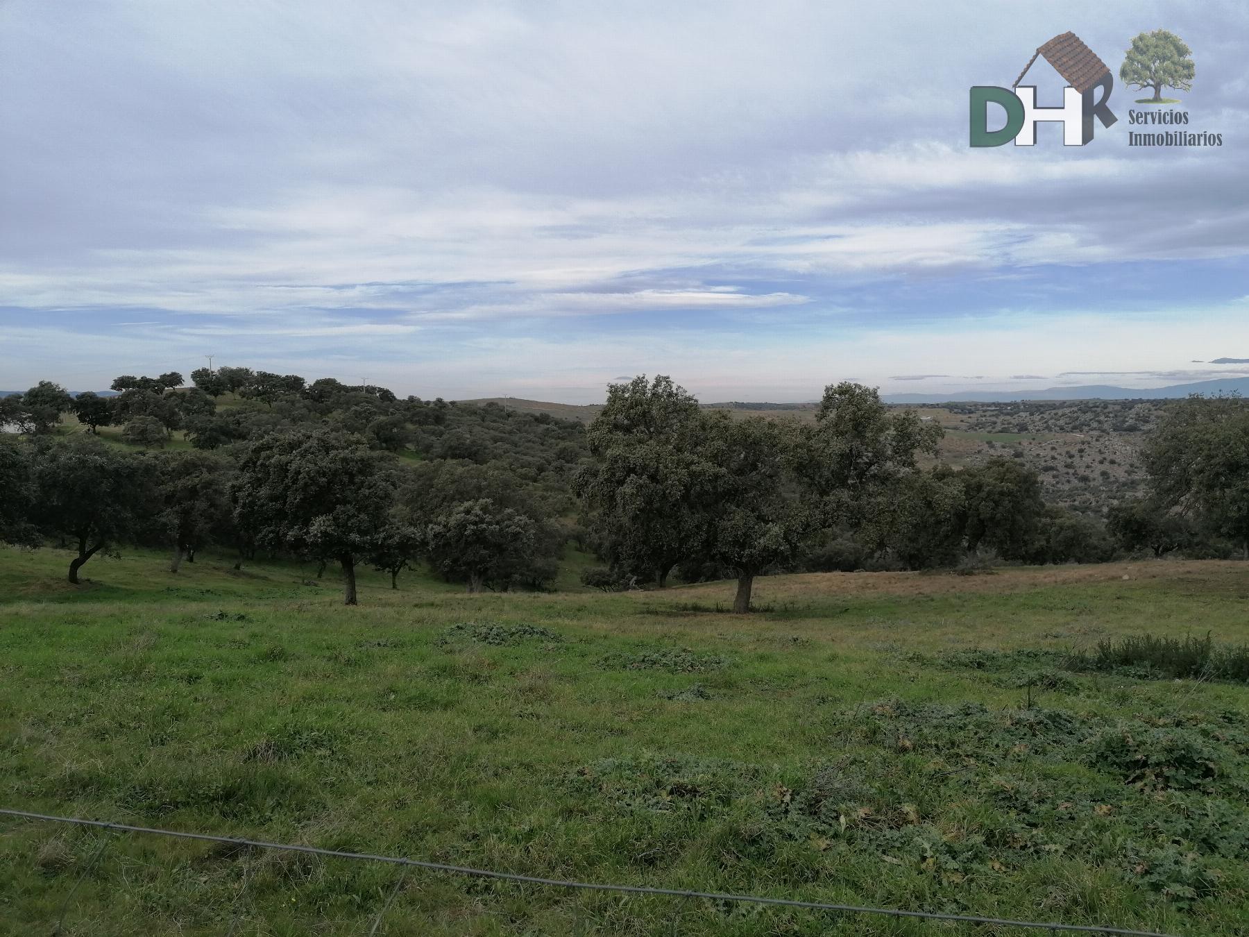 Venta de terreno en Cáceres