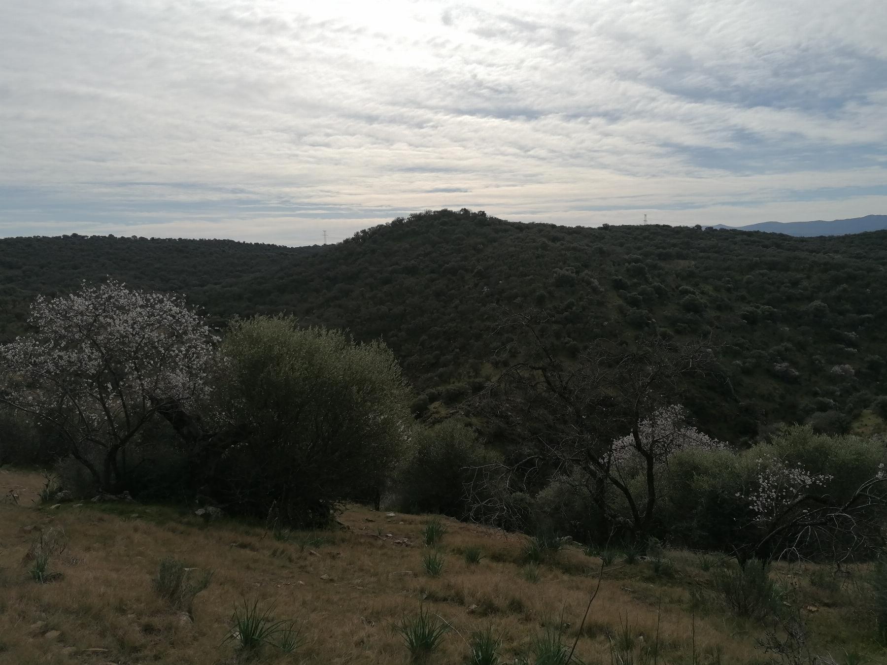 Venta de terreno en Cáceres