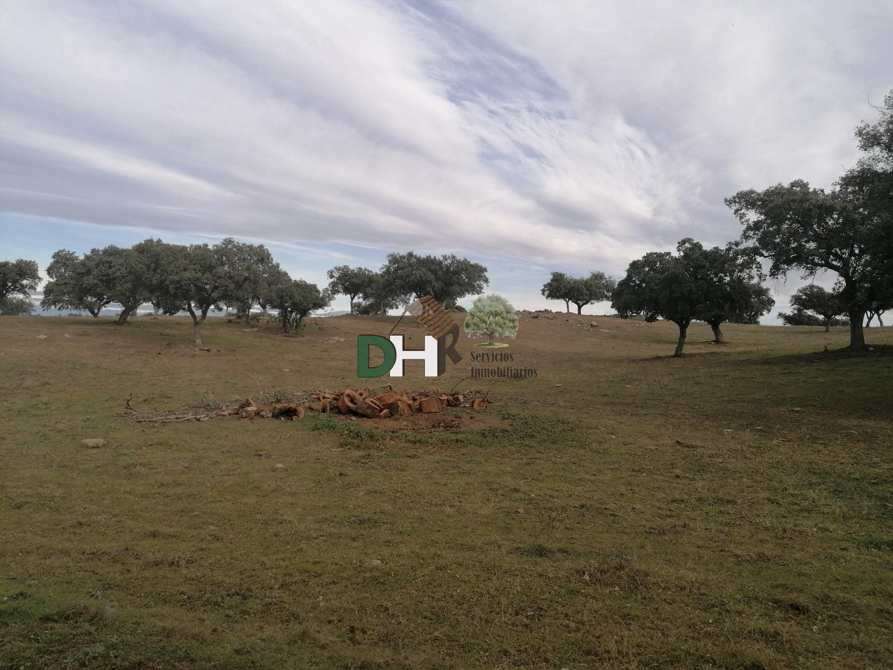 Venta de terreno en Cáceres