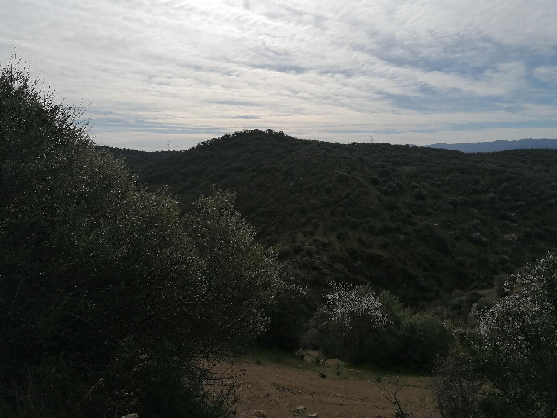 Venta de terreno en Cáceres